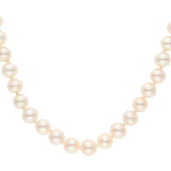 9ct Yellow Gold 6-6.5mm White Round Cultured River Pearl Necklace 16"