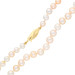 14ct Gold 6mm Freshwater Pearl Necklace