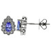 9ct White Gold Diamond & Tanzanite Halo Stud Earrings