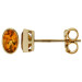 9ct Yellow Gold 0.35ct Citrine Earrings 